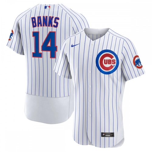 Ernie Banks Cubs Jersey Authentic Nike Retired Player